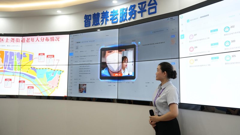 信息化顾问